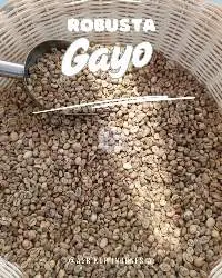 Green Beans Robusta GAYO G.1