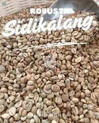 Green Beans Robusta Sidikalang G.1