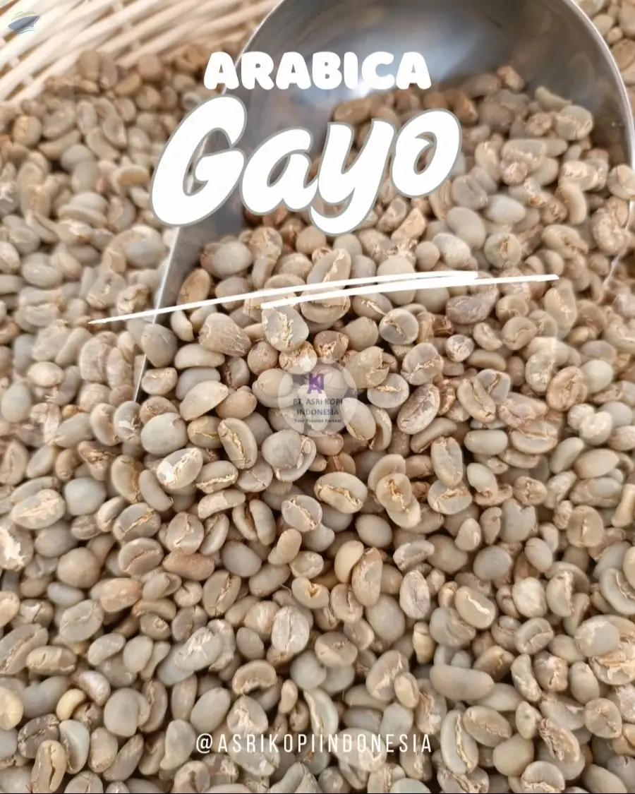Green Beans Arabica Gayo G.1