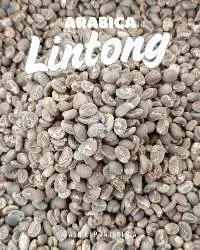 Green Beans Arabica Lintong G.1