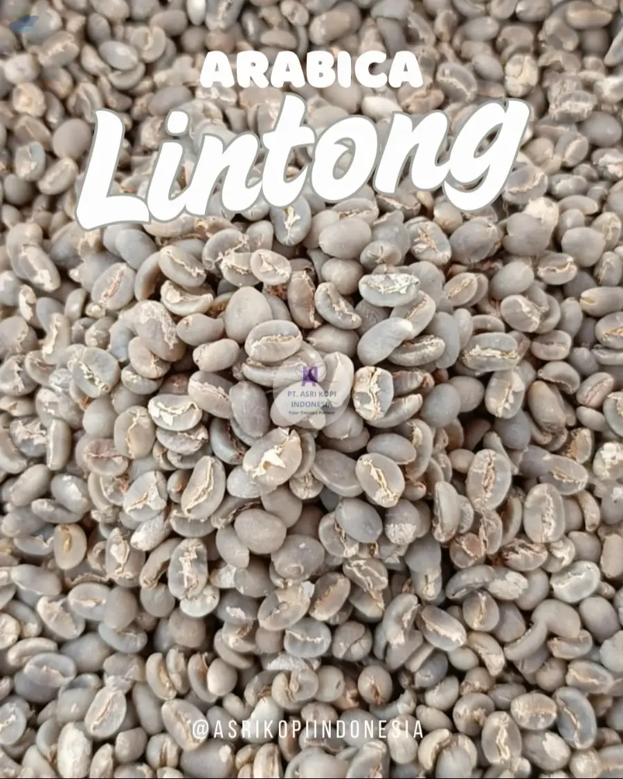 Green Beans Arabica Lintong G.1
