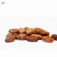 Cocoa Beans