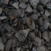 Natural Palm Kernel Shell for Industrial Use