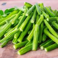 Fresh Drumsticks (Moringa Oleifera Pods)