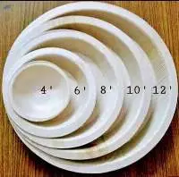 Eco-Friendly Areca Leaf Plates