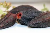 Frozen Sea Cucumber