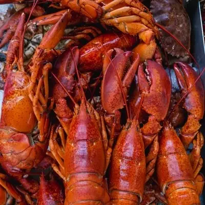 Frozen Lobster Products
