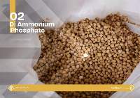 DAP -Di Ammonium Phosphate  (Granular)