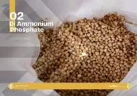 DAP -Di Ammonium Phosphate  (Granular)