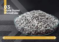 Triple Super Phosphate (TSP) - Granular