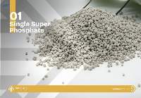 Single Super Phosphate (SSP) - G OR P