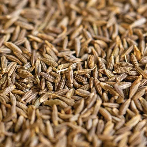 Cumin Seeds
