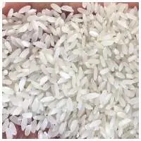 Swarna Raw Rice