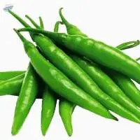 G4 Green Chilly