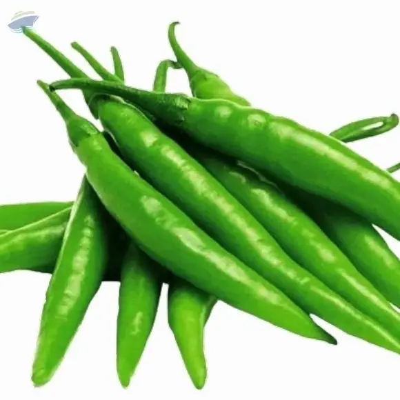 G4 Green Chilly