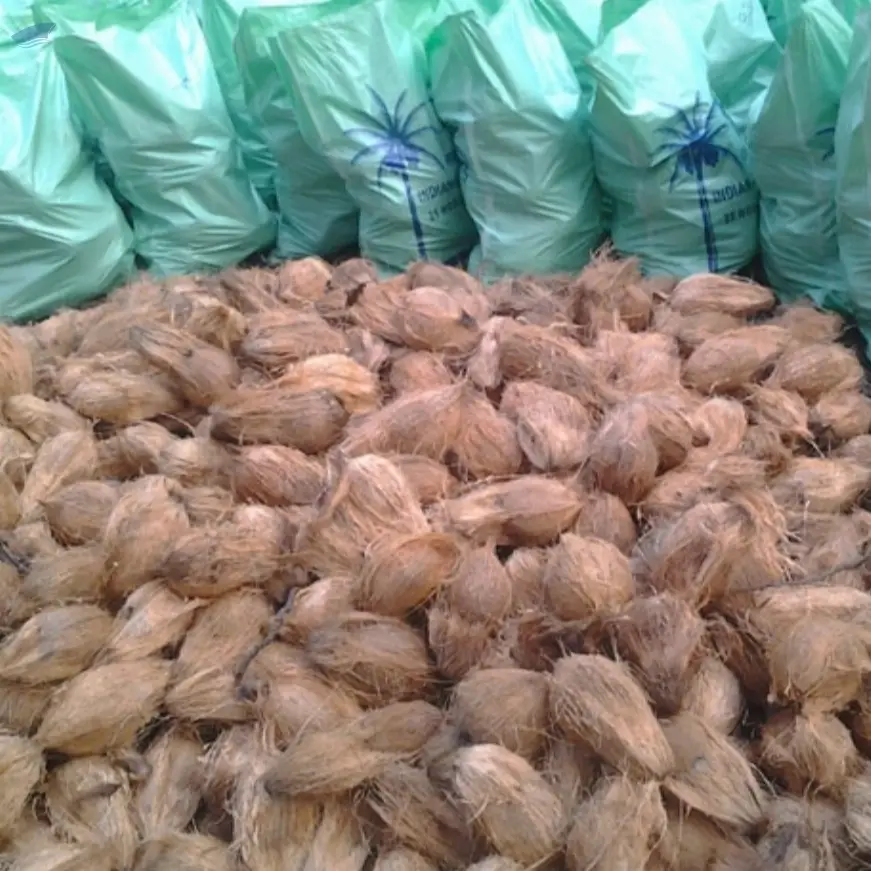 Semi Husk Coconut
