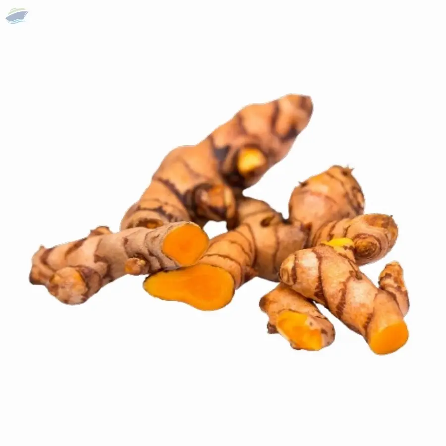 Raw Turmeric