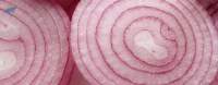 Onion