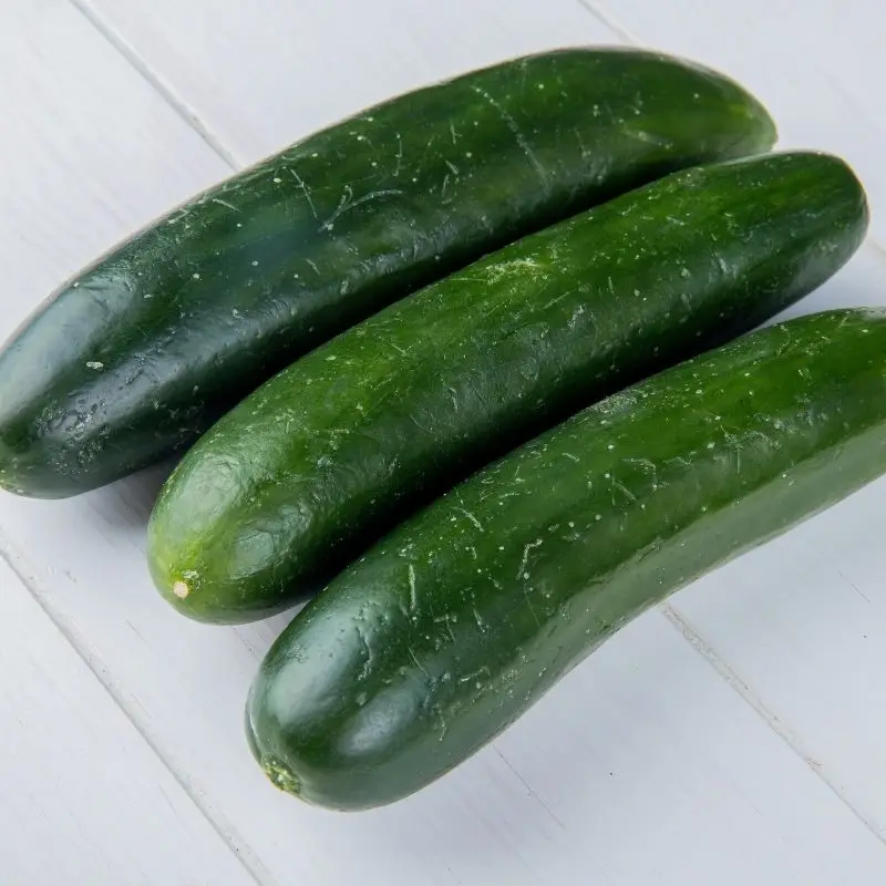 Cucumber