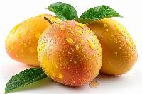 Mango (Alphonso, Kesar)