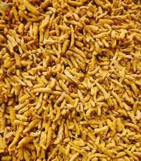 Premium Indian Whole Turmeric Fingers