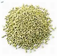 Fennel Seed