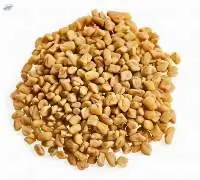 Fenugreek Seeds