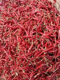 Red Chilli