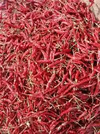 Red Chilli