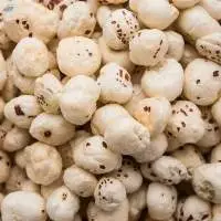 Fox Nut