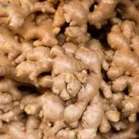 Ginger