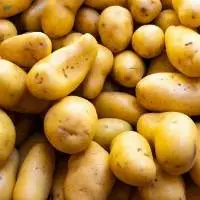 Potato