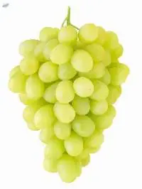 Fresh Grapes