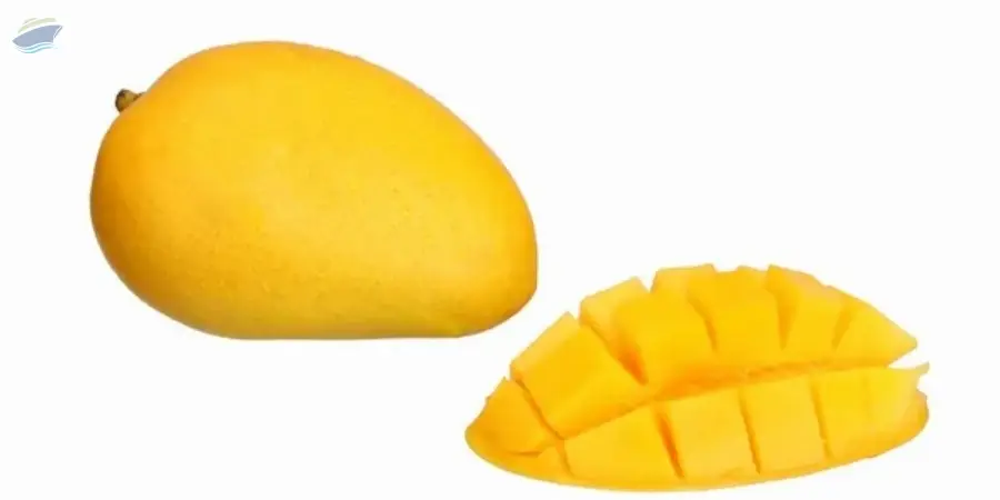 Bangapalli / Safeda Mango