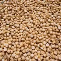 Millets