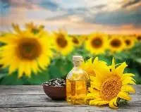 Premium Quality Refined Sunflower Oil
