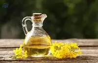 Premium Quality Refined Rapeseed Oil