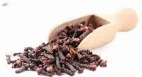 Premium Quality Whole Cloves for Food Industry 