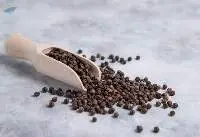 Premium Quality Whole Black Pepper