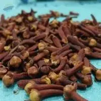 Clove