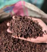 Clove