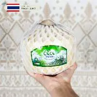 Fresh Young Nam Hom Coconut From Thailand