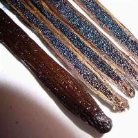 Vanilla Beans