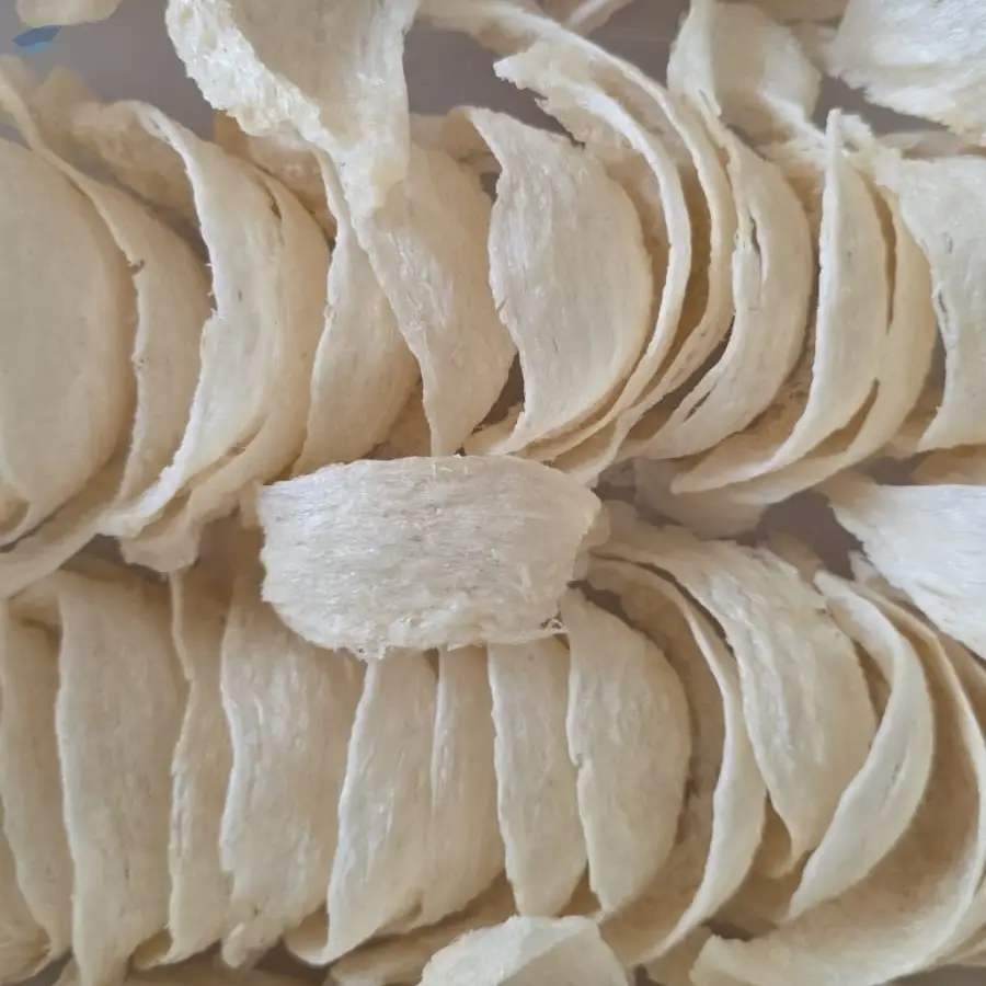 Bird's Nest