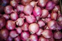 Fresh Red Onion