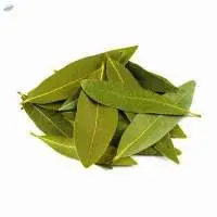 Bay leaf
