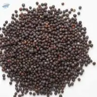 Black Mustard seeds