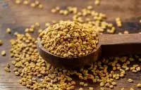 Fenugreek