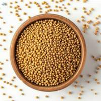 Yellow Mustard Seeds