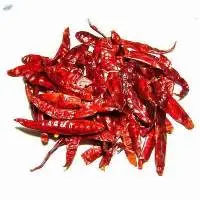 Teja Red Chilli